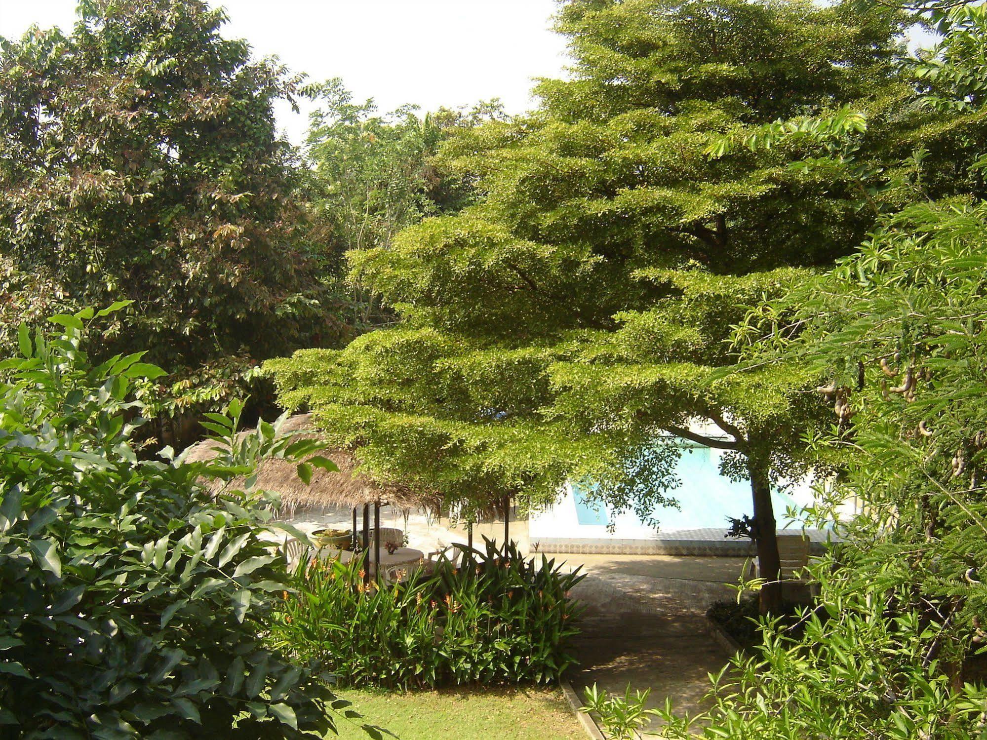 Golden Cupids Hotel Chiang Mai Ngoại thất bức ảnh